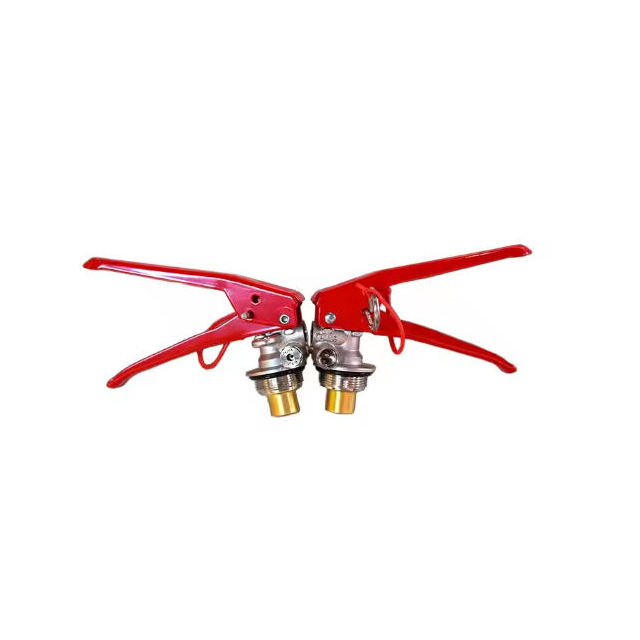 фото_20251224161609_1377_117