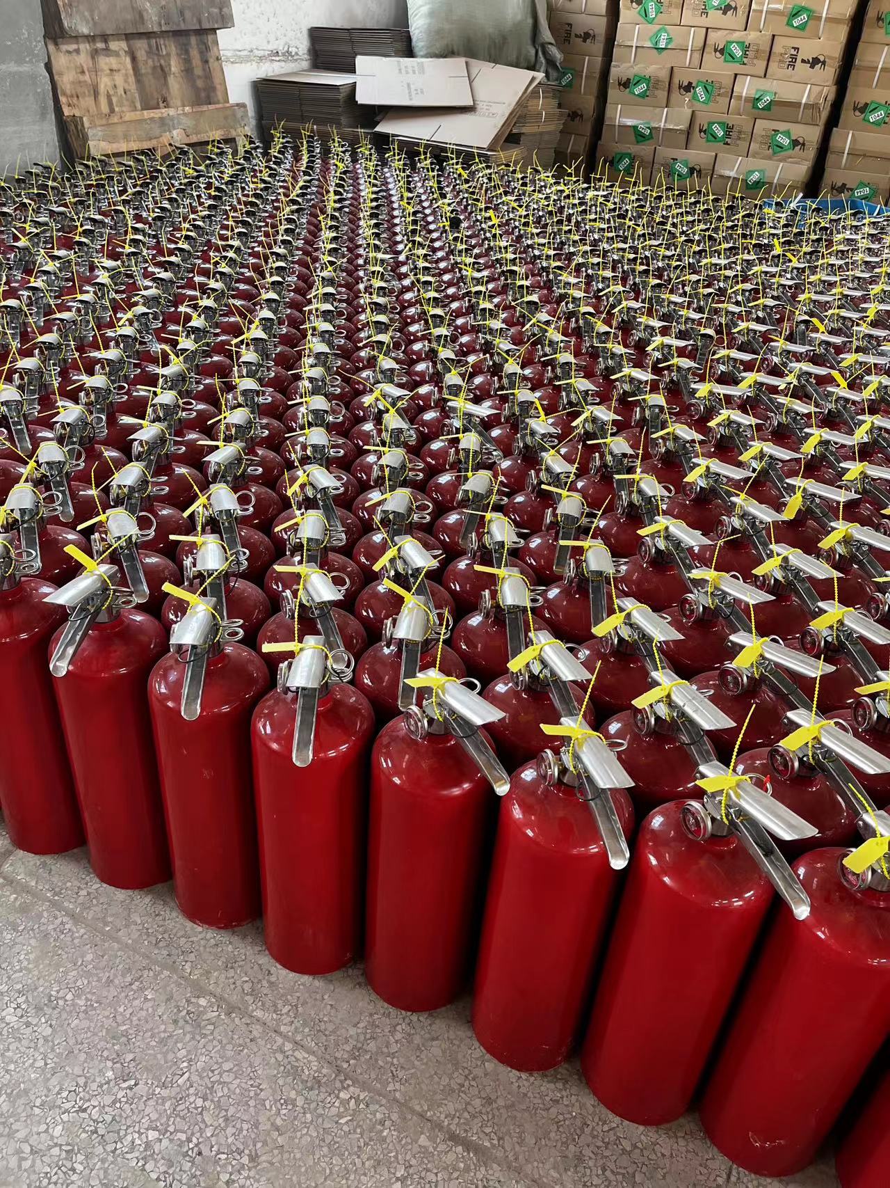 фото_20231019162227